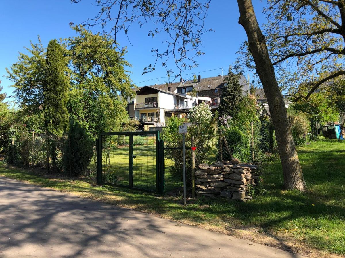 2Type4 - Apartments Brauneberg Dış mekan fotoğraf