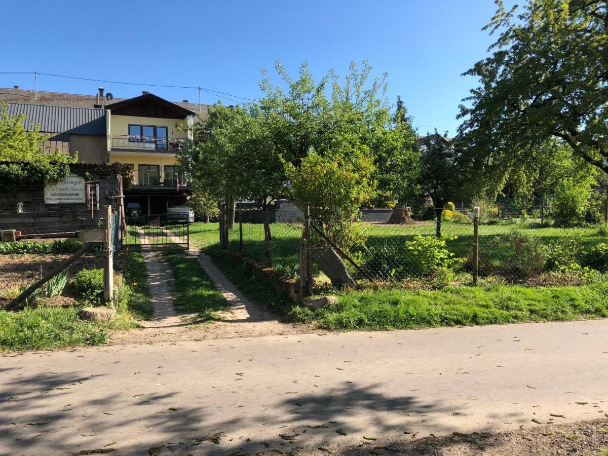 2Type4 - Apartments Brauneberg Dış mekan fotoğraf